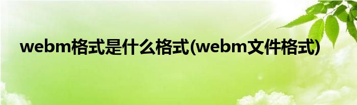 webm格式是什么格式(webm文件格式)