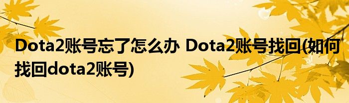 Dota2賬號(hào)忘了怎么辦 Dota2賬號(hào)找回(如何找回dota2賬號(hào))