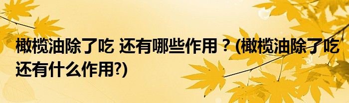 橄欖油除了吃 還有哪些作用？(橄欖油除了吃還有什么作用?)