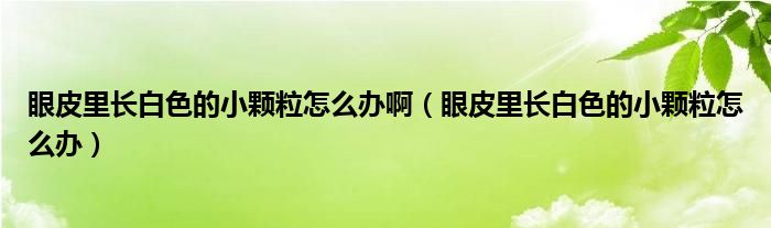 眼皮里長白色的小顆粒怎么辦?。ㄑ燮だ镩L白色的小顆粒怎么辦）