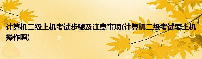 計算機二級上機考試步驟及注意事項(計算機二級考試要上機操作嗎)