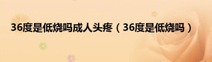 36度是低燒嗎成人頭疼（36度是低燒嗎）