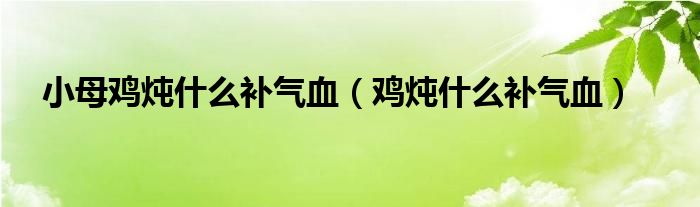 小母雞燉什么補(bǔ)氣血（雞燉什么補(bǔ)氣血）