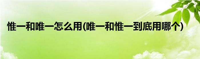 惟一和唯一怎么用(唯一和惟一到底用哪個)