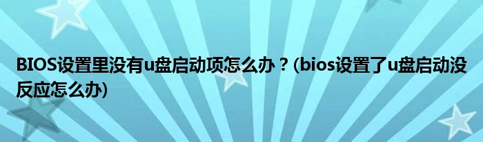 BIOS設(shè)置里沒有u盤啟動項怎么辦？(bios設(shè)置了u盤啟動沒反應(yīng)怎么辦)