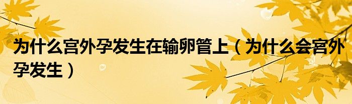 為什么宮外孕發(fā)生在輸卵管上（為什么會宮外孕發(fā)生）