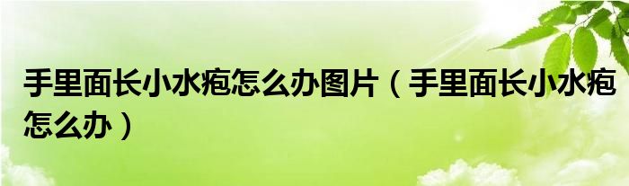 手里面長小水皰怎么辦圖片（手里面長小水皰怎么辦）