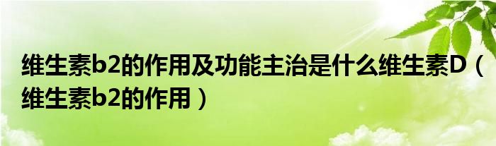 維生素b2的作用及功能主治是什么維生素D（維生素b2的作用）