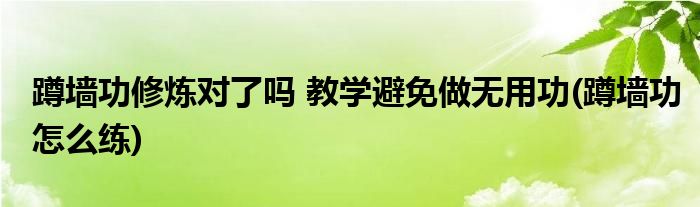 蹲墻功修煉對了嗎 教學(xué)避免做無用功(蹲墻功怎么練)