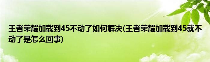 王者榮耀加載到45不動了如何解決(王者榮耀加載到45就不動了是怎么回事)