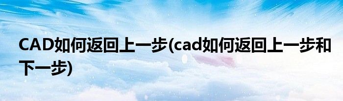 CAD如何返回上一步(cad如何返回上一步和下一步)