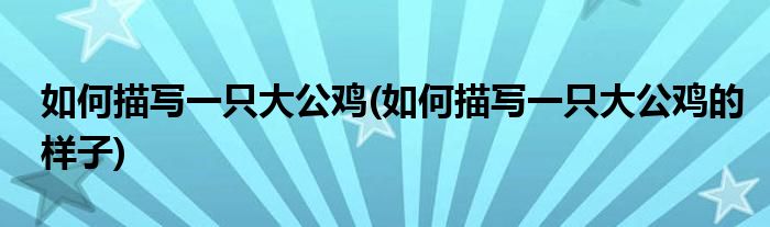 如何描寫一只大公雞(如何描寫一只大公雞的樣子)