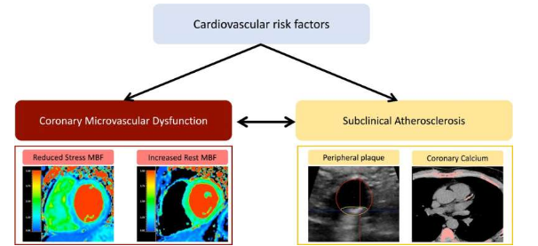 外表看似健康的人的心臟代謝危險因素與冠狀動脈微循環(huán)改變有關(guān)