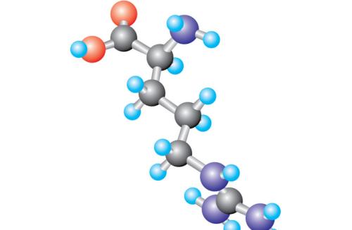 用Immuno-SABER照亮蛋白質(zhì)