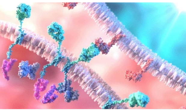 腫瘤加熱量可能等于更有效的免疫療法