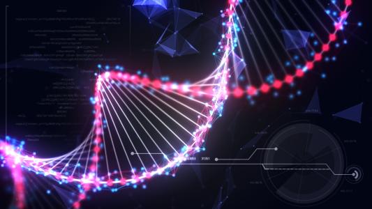 從蚊子中恢復(fù)人類DNA