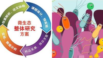 常見食物可以幫助景觀化腸道微生物組的叢林